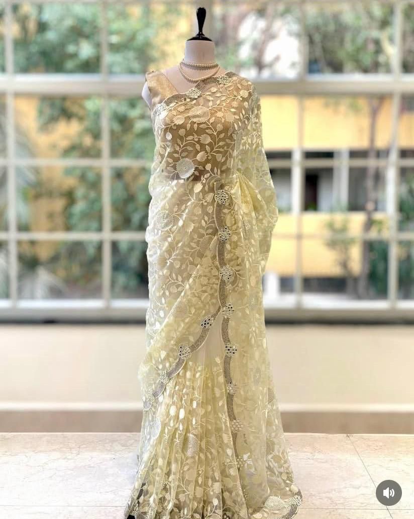 Organza Saree with Thread Zaal Work, Swarovski Accents & Silver Zari Border