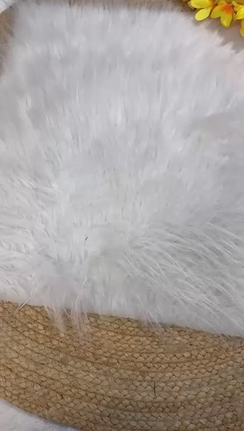 Organza Saree with Thread Zaal Work, Swarovski Accents & Silver Zari Border